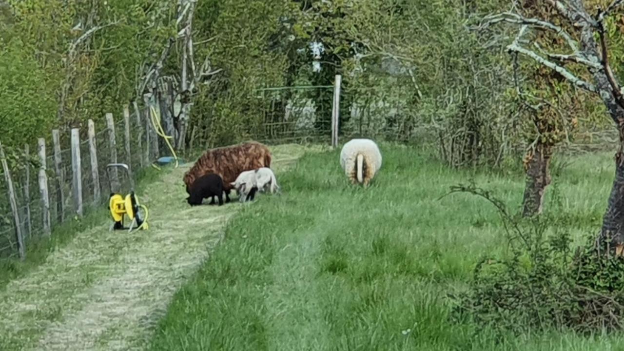 Grande Maison Avec Jardin, Animaux,Au Calme Yviers Экстерьер фото