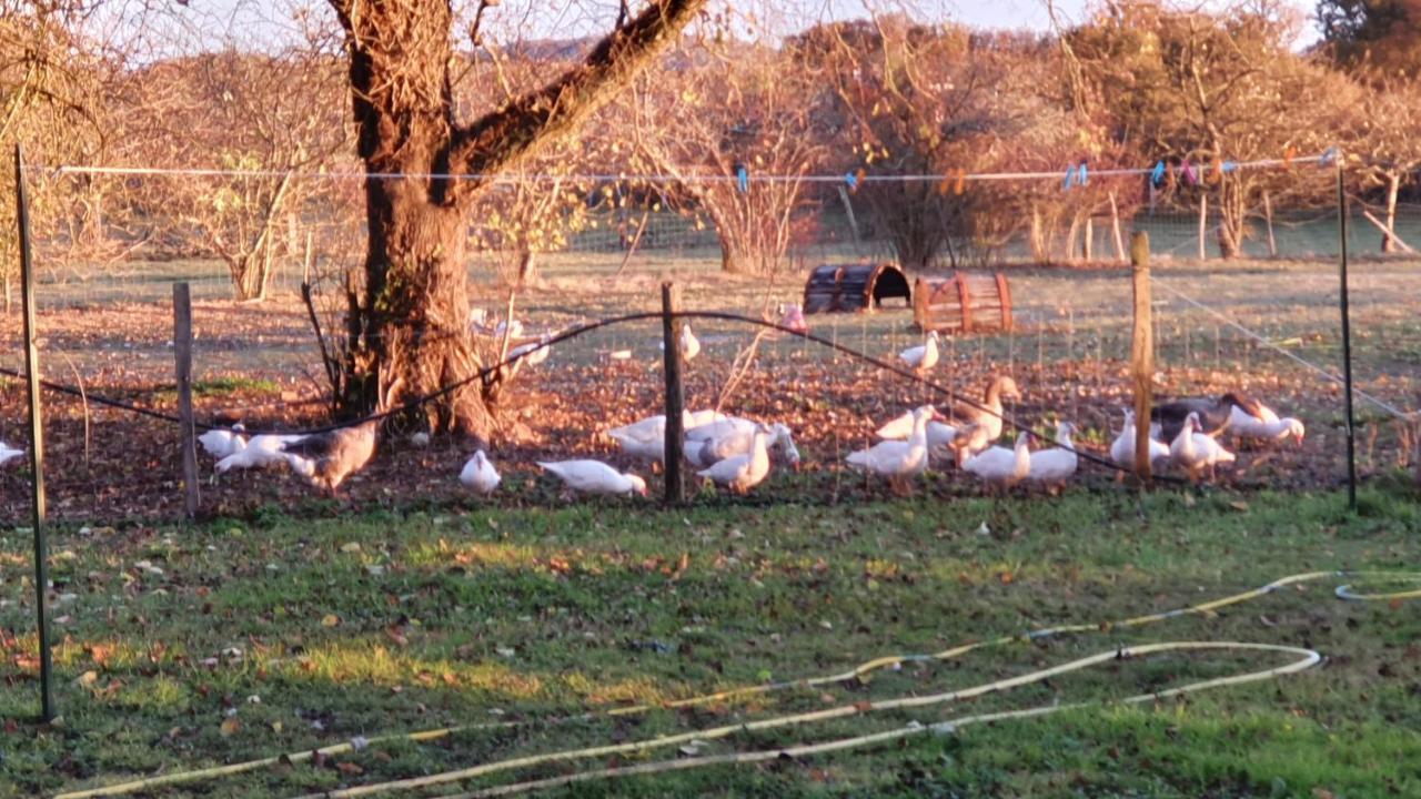 Grande Maison Avec Jardin, Animaux,Au Calme Yviers Экстерьер фото